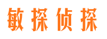 盐津敏探私家侦探公司